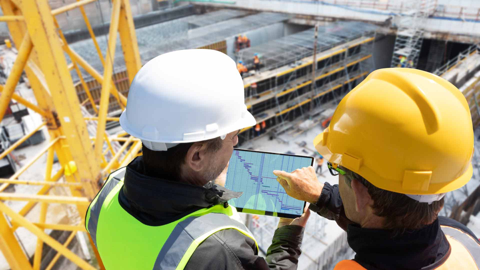 The Value of Expertise Over Automation Why Human Insight Still Matters in an Automated World