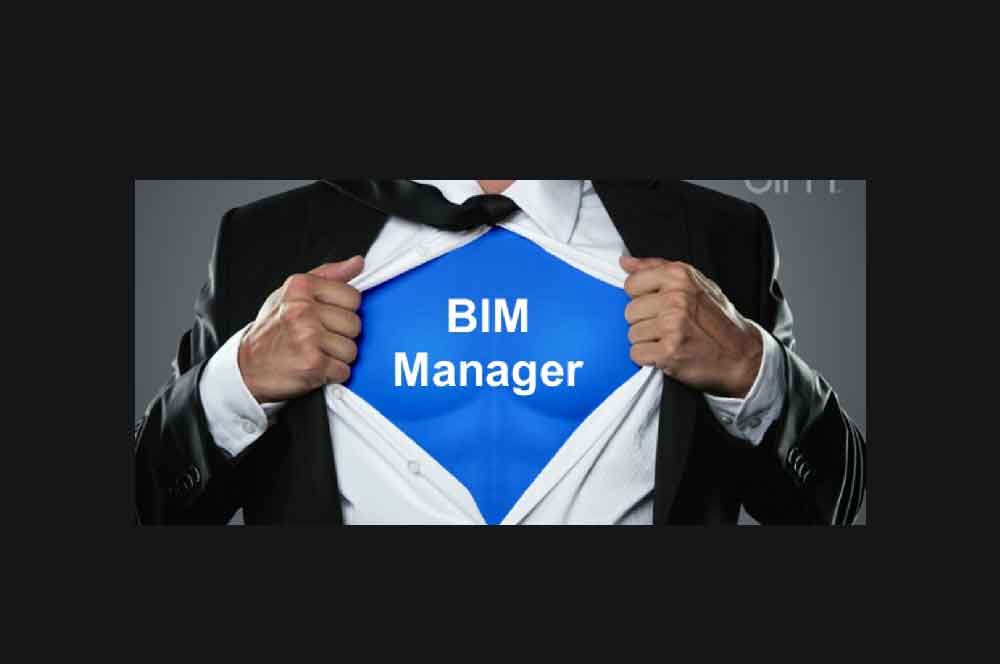 The Digital Backbone: Rethinking the Role of the BIM Manager – 5 Key Takeaways for BIM Project Management in 2025